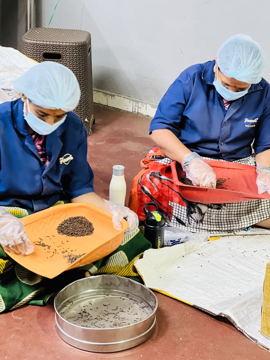 Seed Sorting Floor